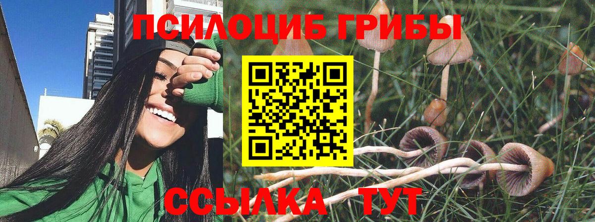 Семёнов  Галлюциногенные грибы ЛСД  Вход с VPN 