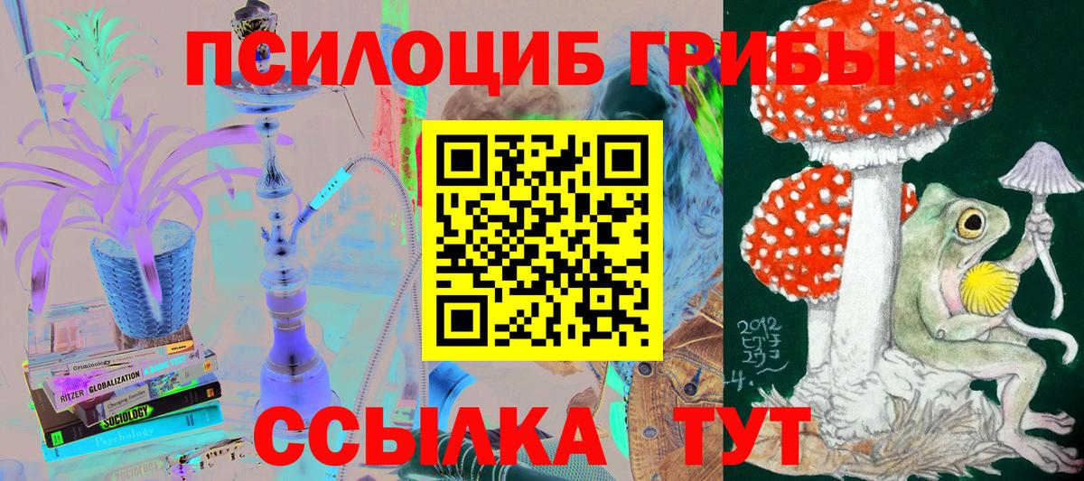 Псилоцибиновые грибы Cubensis Семёнов